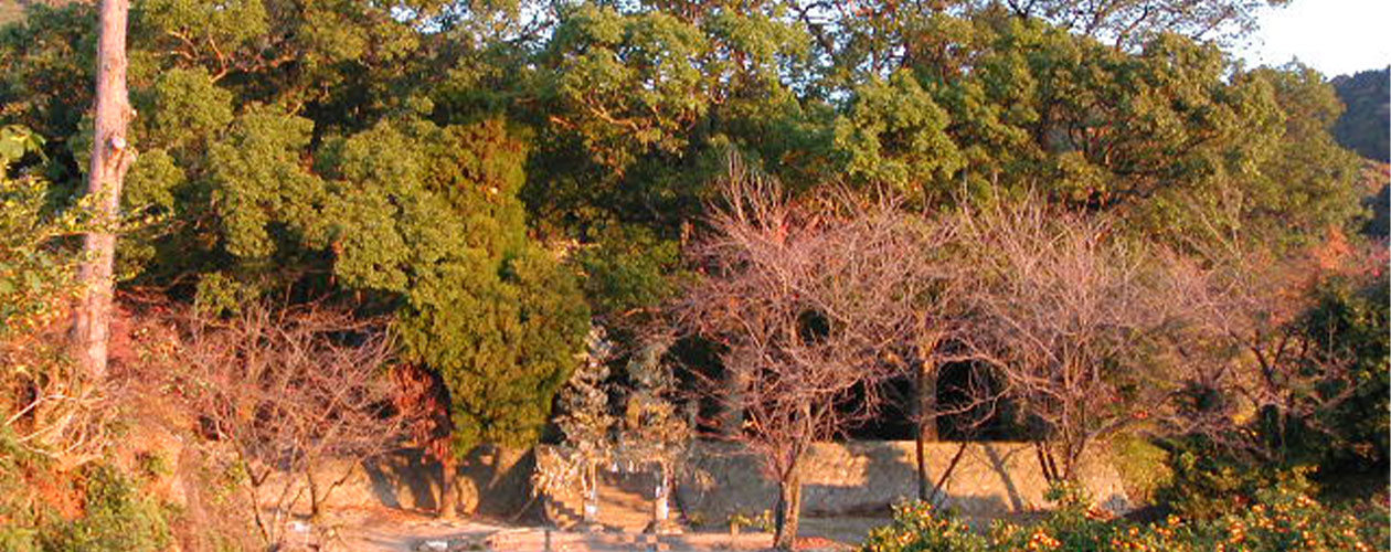 約700年前(鎌倉時代)に創建された由緒正しき神社