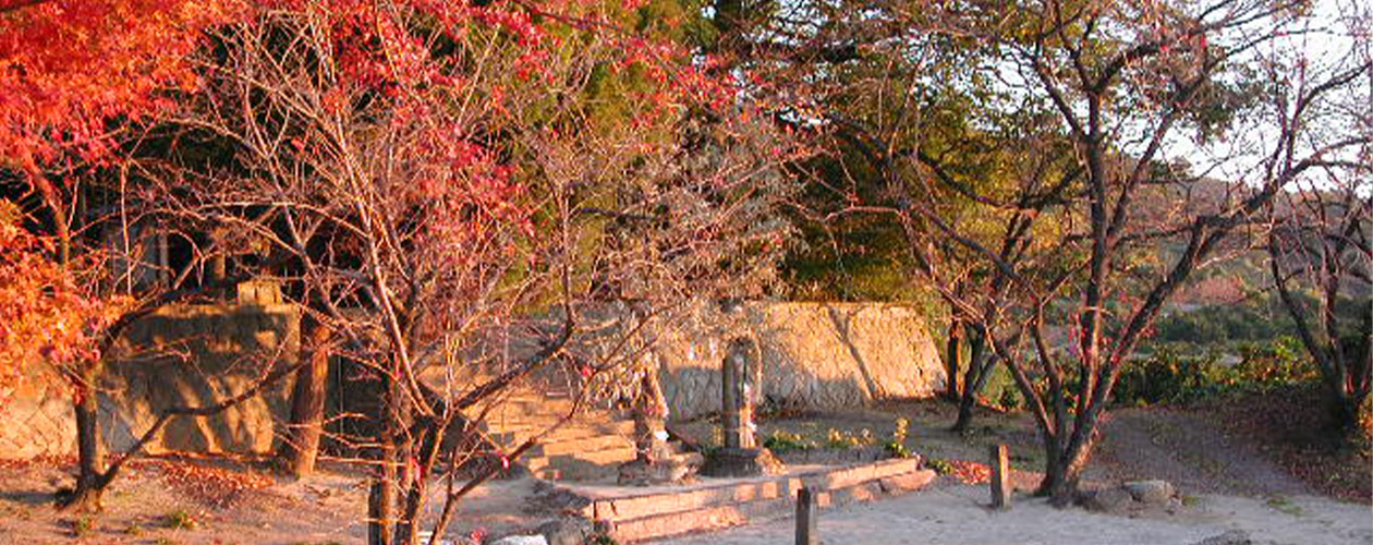 縁結び 子宝 安産 夫婦円満 家内安全 商売繁盛 教育　厄除け 受験合格 病気平癒 国造り 経営等を祈願