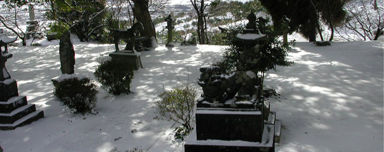 約700年前(鎌倉時代)に創建された由緒正しき神社